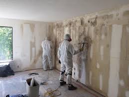 Trusted Spencer, IN Mold Removal Experts